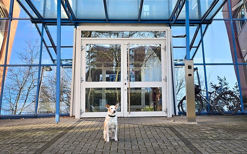 Eingang des Kanzleigebäudes mit dem Kanzleihund davor